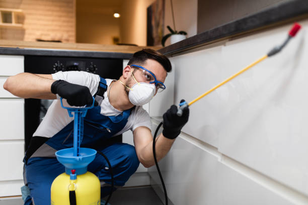 Best Rat Extermination Near Me  in Berino, NM