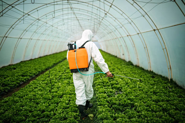 Best Commercial Pest Control Services  in Berino, NM