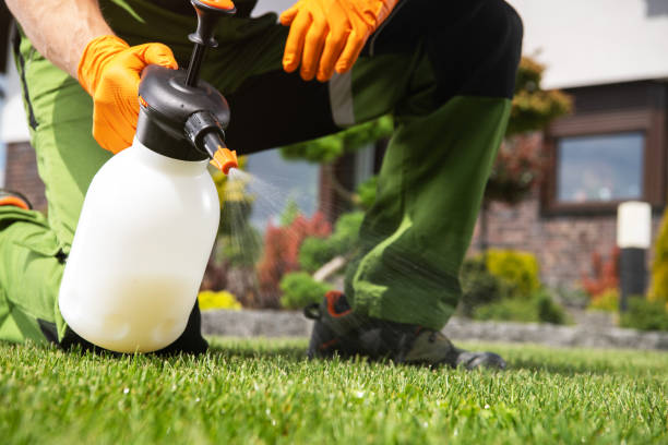 Best Exterminator Services  in Berino, NM