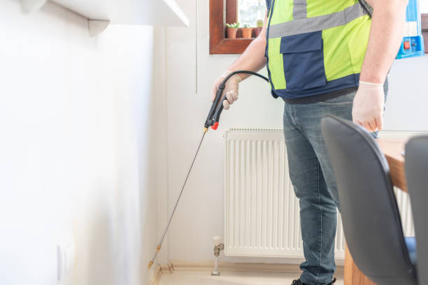 Best Flea Control Services  in Berino, NM
