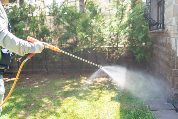 Trusted Berino, NM Pest Control Experts