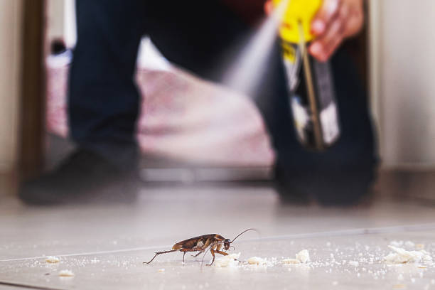 Best Pest Control for Homes  in Berino, NM