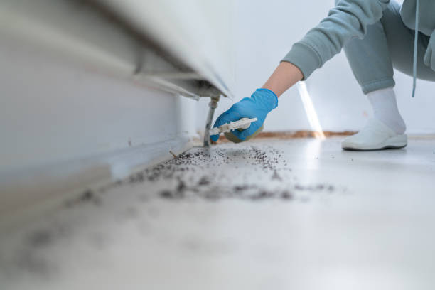 Best Commercial Pest Control Services  in Berino, NM